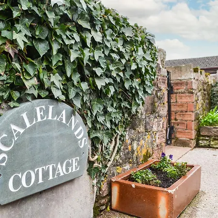 Scalelands * Frizington