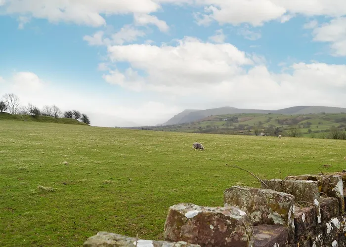 度假居 Scalelands